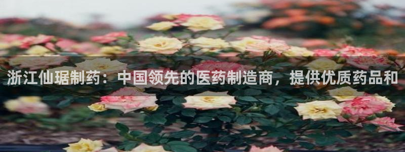 9游会老哥：浙江仙琚制药：中国领先的医药制造商，提供优质药品和