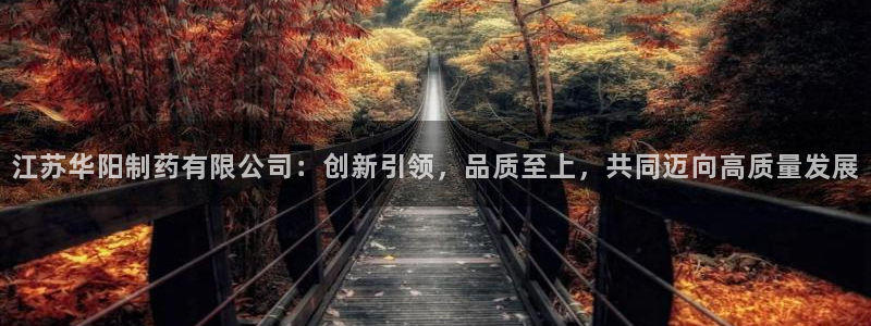 九游会老哥：江苏华阳制药有限公司：创新引领，品质至上，共同迈向高质量发展