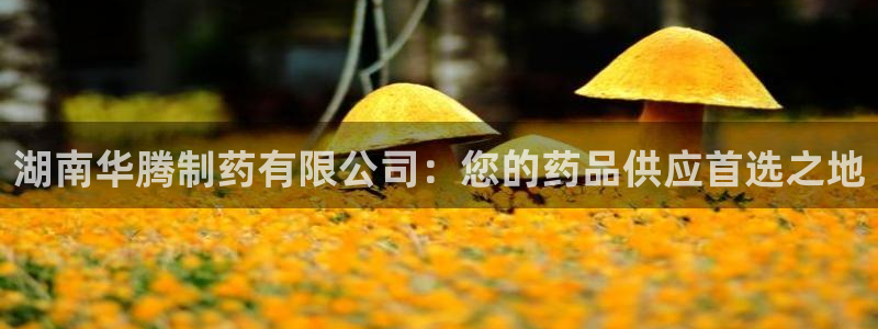 九游会老哥俱乐部官网首页：湖南华腾制药有限公司：您的药品供应首选之地