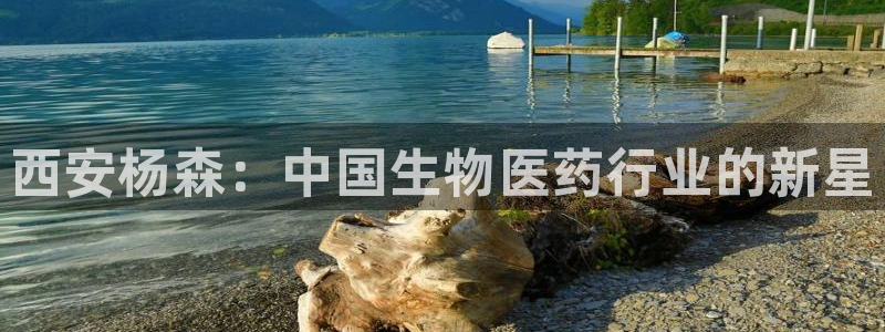九游老哥俱乐部官网登录不了：西安杨森：中国生物医药行业的新星