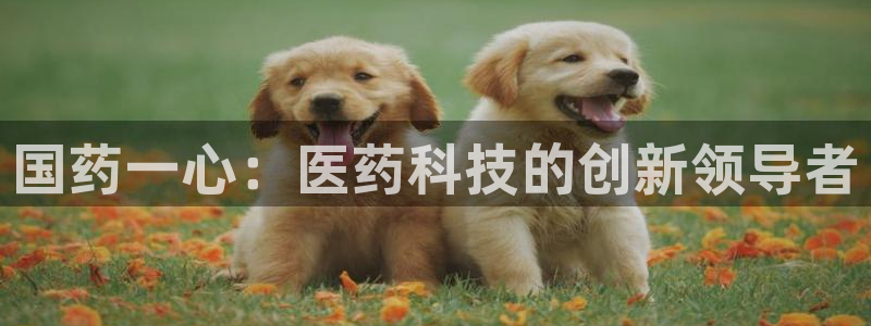 九游老哥俱乐部官网登录入口：国药一心：医药科技的创新领导者