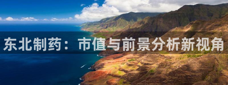 九游会老哥：东北制药：市值与前景分析新视角