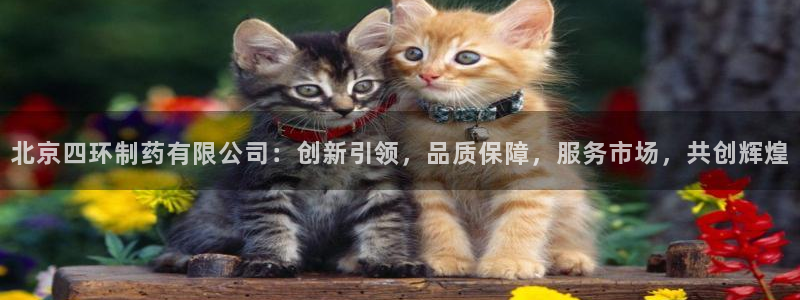 ag九游会老哥俱乐部：北京四环制药有限公司：创新引领，品质保障，服务市场，共创辉煌