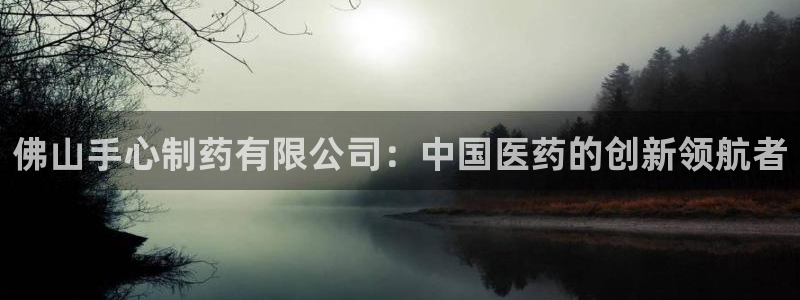 九游会老哥：佛山手心制药有限公司：中国医药的创新领航者