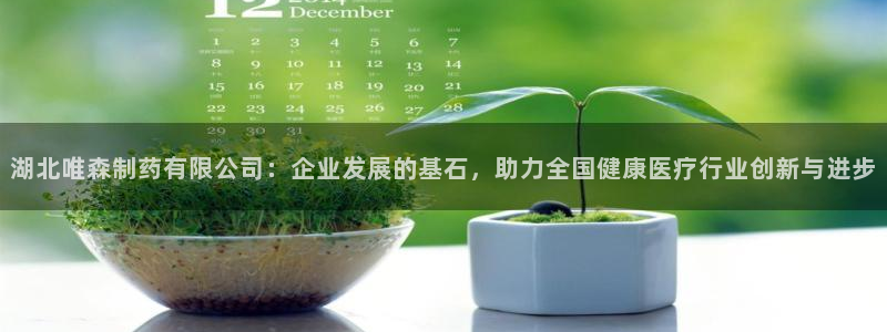 9游会老哥：湖北唯森制药有限公司：企业发展的基石，助力全国健康医疗行业创新与进步