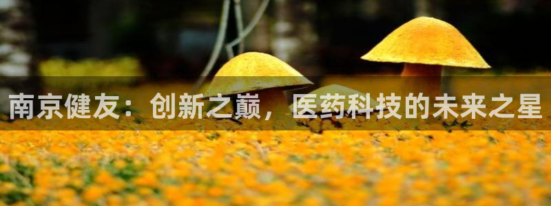 9游会老哥俱乐部：南京健友：创新之巅，医药科技的未来之星