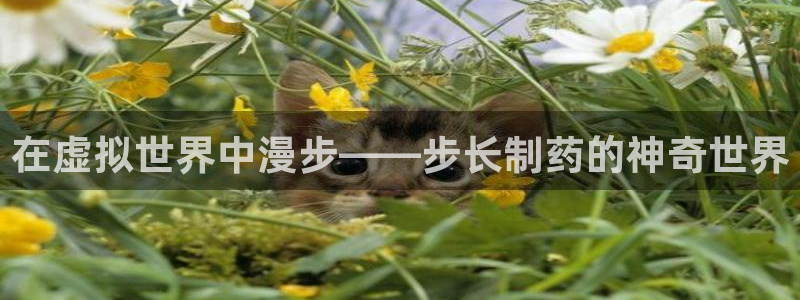 九游老哥俱乐部官网登录不了：在虚拟世界中漫步——步长制药的神奇世界