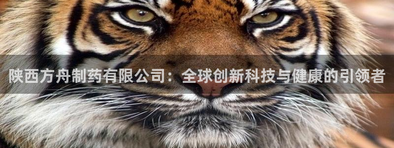 九游老哥俱乐部官网登录网址：陕西方舟制药有限公司：全球创新科