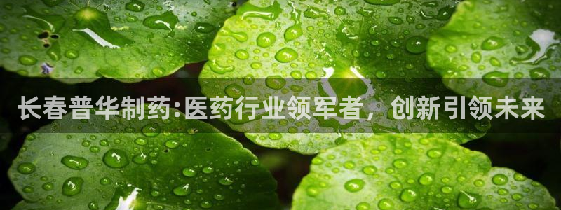 9游会老哥：长春普华制药:医药行业领军者，创新引领未来
