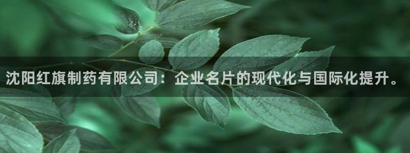 九游会老哥俱乐部：沈阳红旗制药有限公司：企业名片的现代化与国际化提升。