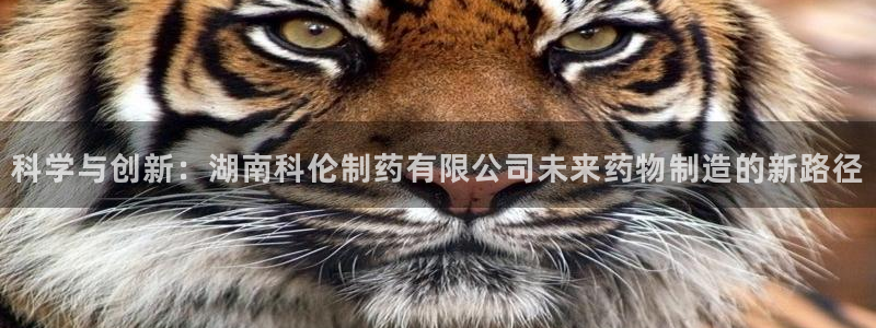 老哥俱乐部是干什么的：科学与创新：湖南科伦制药有限公司未来药物制造的新路径