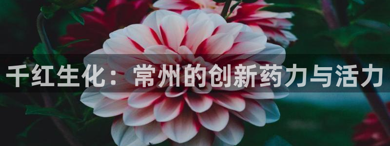 九游会老哥：千红生化：常州的创新药力与活力