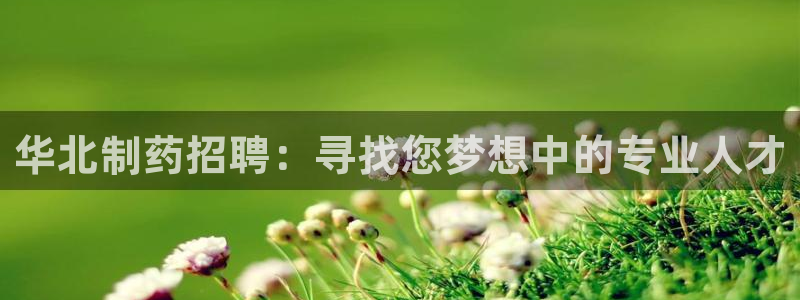 九游老哥俱乐部官网登录：华北制药招聘：寻找您梦想中的专业人才