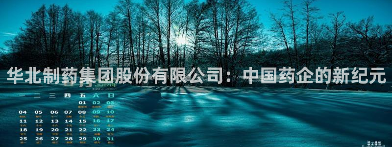 老哥吧九游会：华北制药集团股份有限公司：中国药企的新纪元