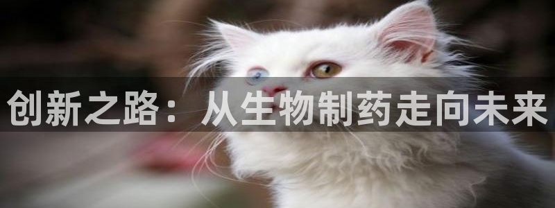 ag九游老哥俱乐部：创新之路：从生物制药走向未来