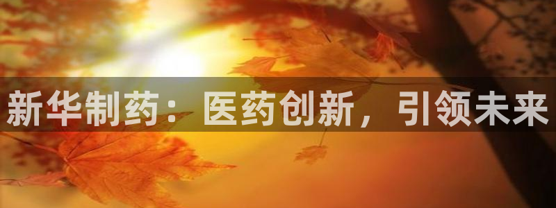 usdt九游会老哥俱乐部：新华制药：医药创新，引领未来