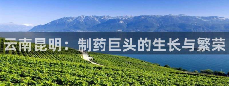 ag九游会老哥：云南昆明：制药巨头的生长与繁荣