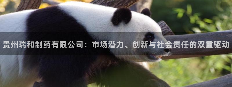 九游会老哥俱乐部：贵州瑞和制药有限公司：市场潜力、创新与社会责任的双重驱动
