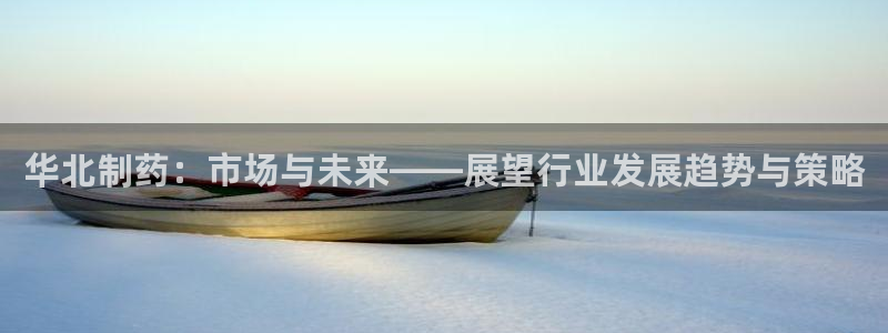 九游老哥俱乐部官网登录不了：华北制药：市场与未来——展望行业发展趋势与策略
