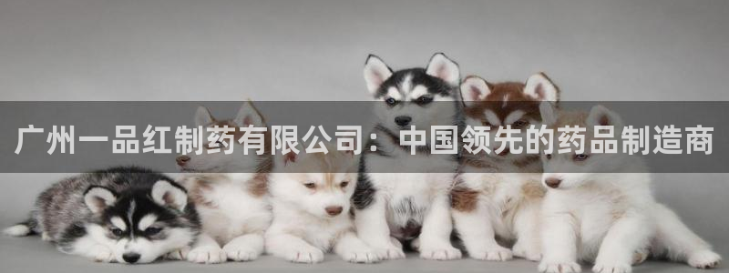 九游老哥俱乐部登录：广州一品红制药有限公司：中国领先的药品制造商