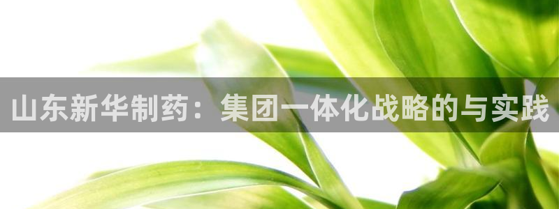 九游老哥俱乐部官网登录：山东新华制药：集团一体化战略的与实践