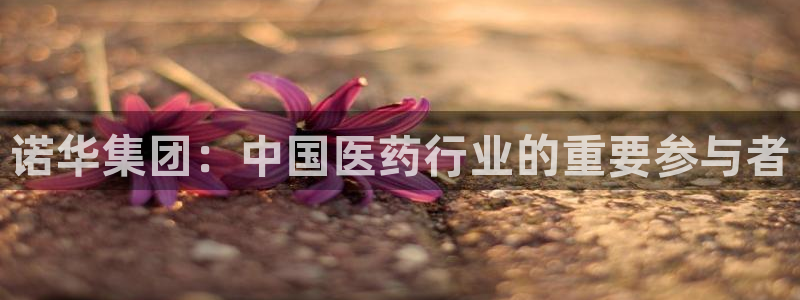 ag九游会老哥：诺华集团：中国医药行业的重要参与者