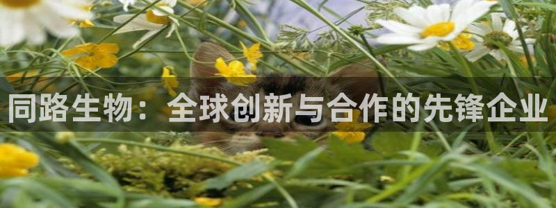 九游老哥俱乐部登录：同路生物：全球创新与合作的先锋企业