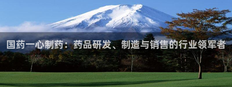 老哥俱乐部是干什么的啊：国药一心制药：药品研发、制造与销售的行业领军者