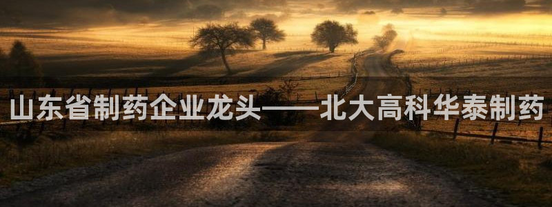 九游会老哥俱乐部官网：山东省制药企业龙头——北大高科华泰制药