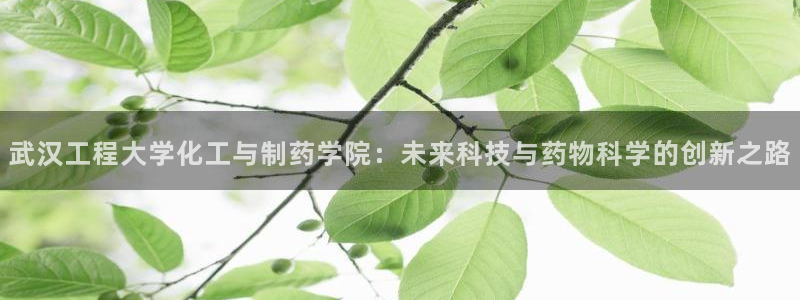 九游会老哥必备的交流社区：武汉工程大学化工与制药学院：未来科技与药物科学的创新之路