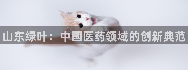 usdt九游会老哥俱乐部