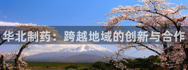 九游会老哥必备的交流社区九：华北制药：跨越地域的创新与合作