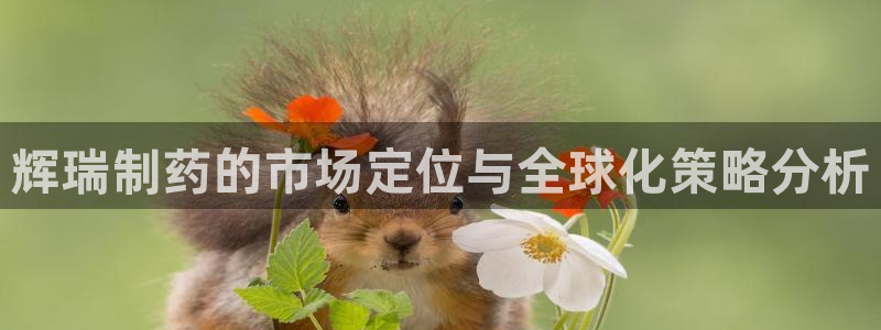 九游老哥俱乐部官网登录入口