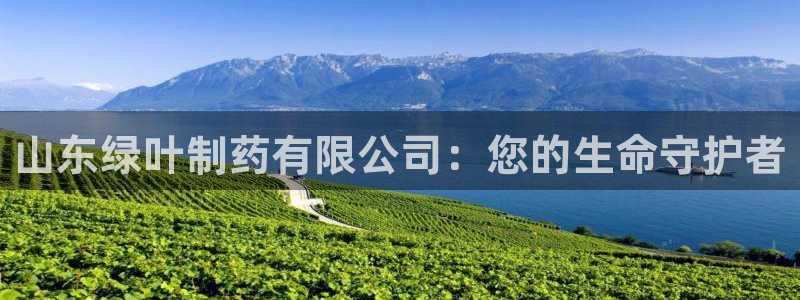 九游会老哥俱乐部官网首页