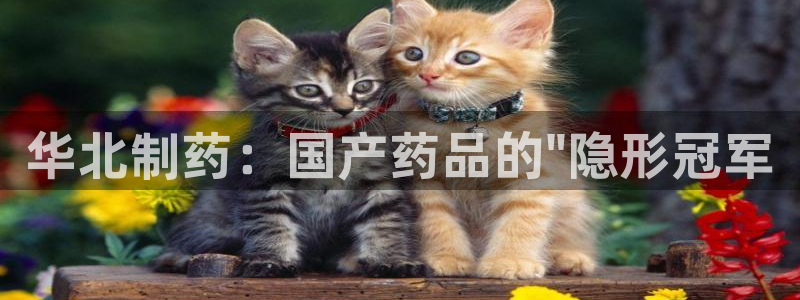 九游老哥俱乐部官网登录：华北制药：国产药品的\