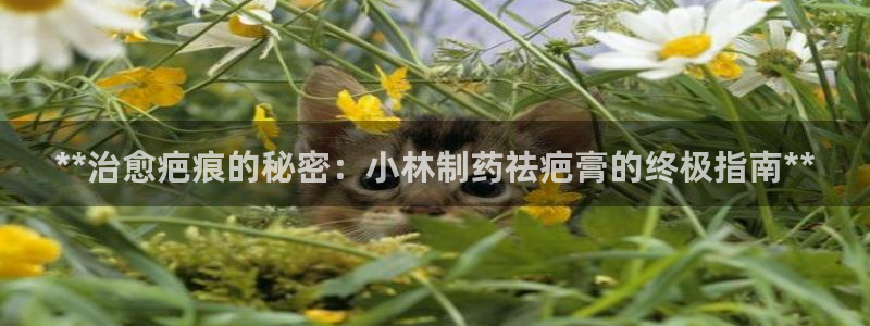 九游会老哥必备的交流社区九：**治愈疤痕的秘密：小林制药祛疤膏的终极指南**