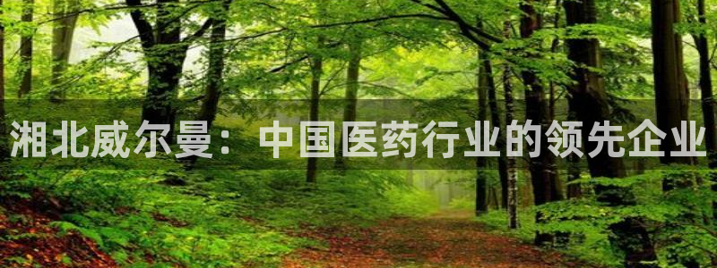 九游会老哥俱乐部官网：湘北威尔曼：中国医药行业的领先企业
