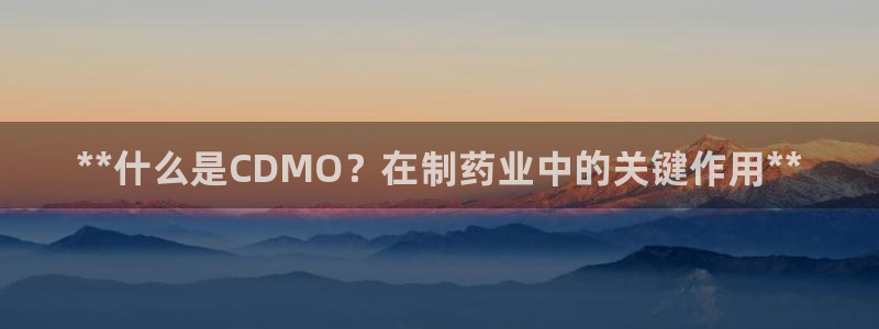 ag九游会老哥：**什么是CDMO？在制药业中的关键作用**