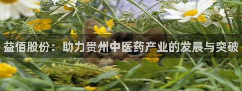 老哥俱乐部是干什么的