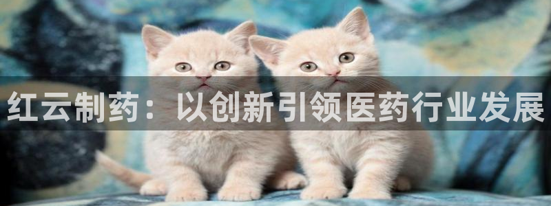 九游会老哥必备的交流社区九：红云制药：以创新引领医药行业发展