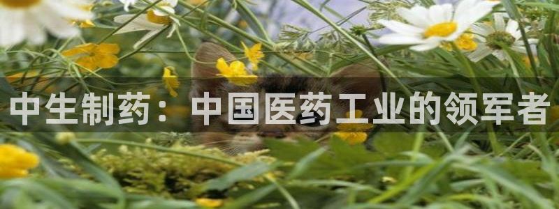 九游会老哥：中生制药：中国医药工业的领军者
