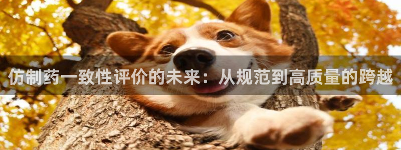 九游会老哥必备的交流社区：仿制药一致性评价的未来：从规范到高质量的跨越