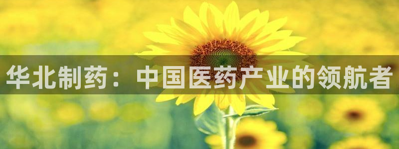 九游会老哥必备的交流社区九：华北制药：中国医药产业的领航者