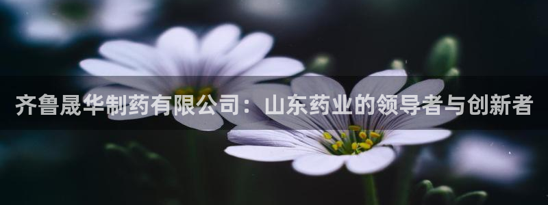 九游会老哥必备的交流社区：齐鲁晟华制药有限公司：山东药业的领导者与创新者
