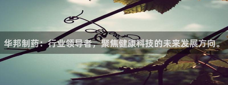 九游会老哥俱乐部官网首页