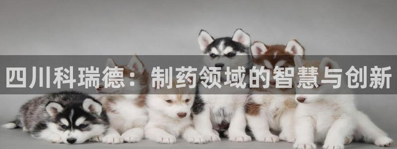 九游会老哥俱乐部：四川科瑞德：制药领域的智慧与创新