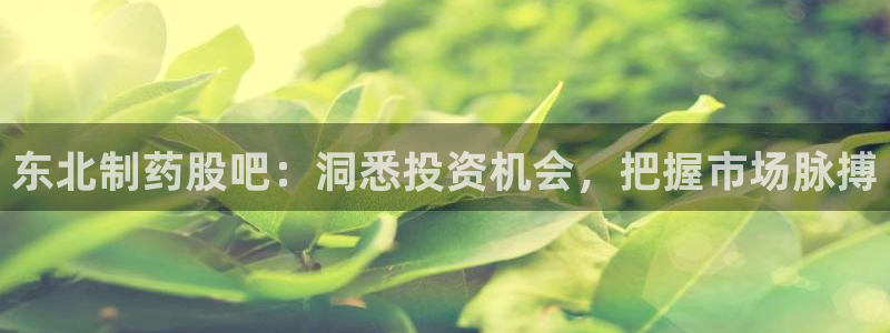 老哥俱乐部是干什么的：东北制药股吧：洞悉投资机会，把握市场脉