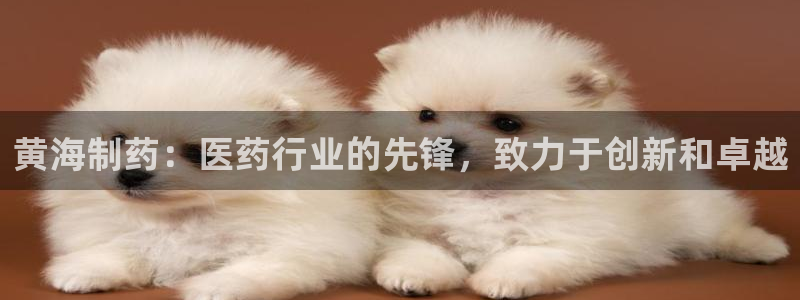 usdt九游会老哥俱乐部:黄海制药:医药行业的先锋,致力于创